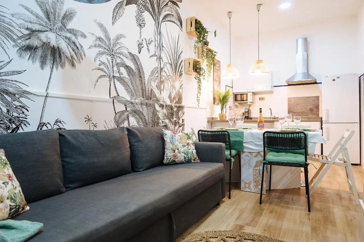 Divi Apartments Martinez Montanes contacts