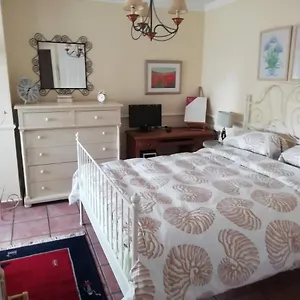 https://adosado-puerto-marina.1costadelsol.com